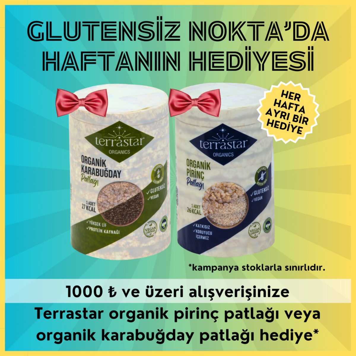 Terrastar Web Manset